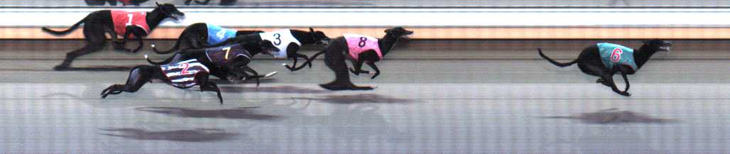 Photo finish for Warrnambool Race 9
