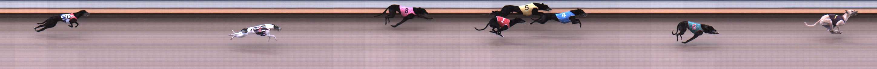 Photo finish for Warrnambool Race 1
