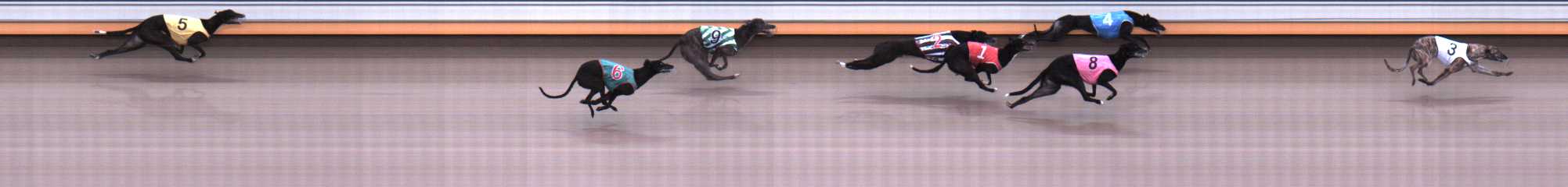 Photo finish for Warrnambool Race 3