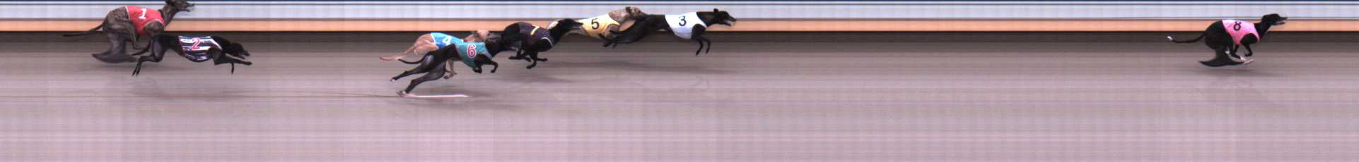 Photo finish for Warrnambool Race 4