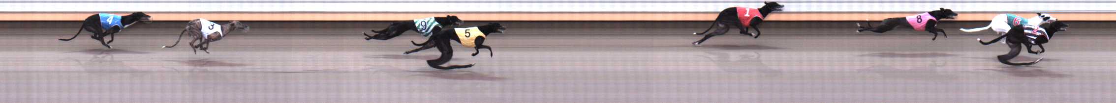 Photo finish for Warrnambool Race 6