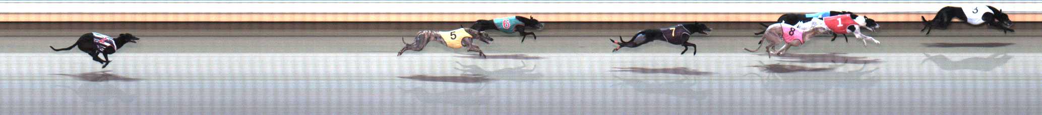 Photo finish for Warrnambool Race 7