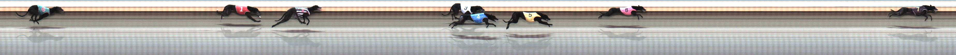 Photo finish for Warrnambool Race 8