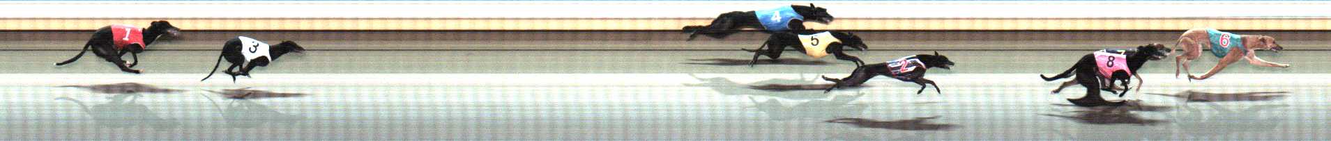 Photo finish for Warrnambool Race 9