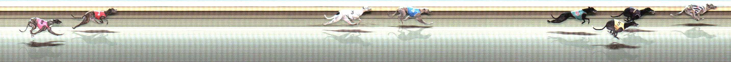 Photo finish for Warrnambool Race 10