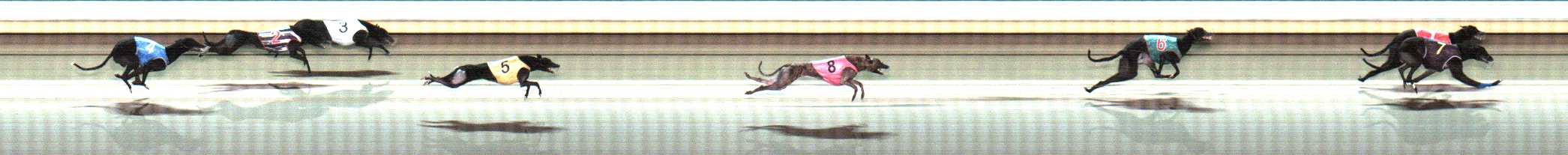 Photo finish for Warrnambool Race 11