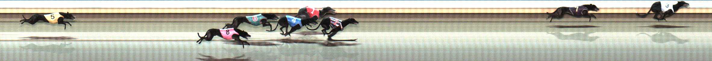 Photo finish for Warrnambool Race 12