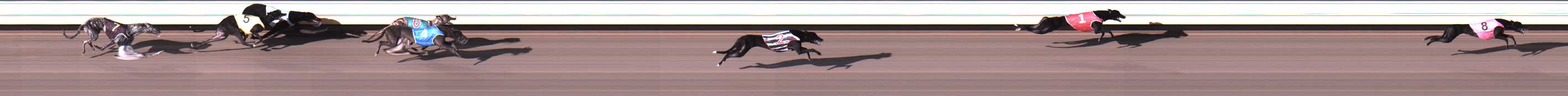 Photo finish for Warrnambool Race 2