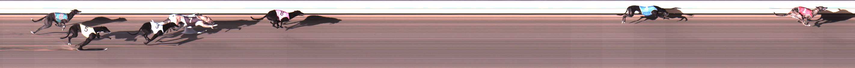 Photo finish for Warrnambool Race 4