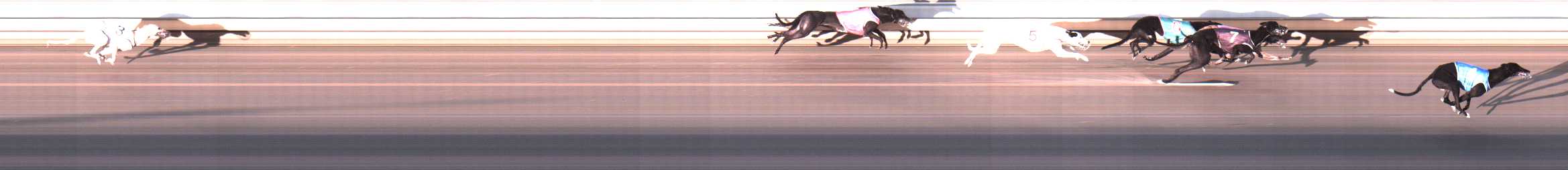 Photo finish for Warrnambool Race 6