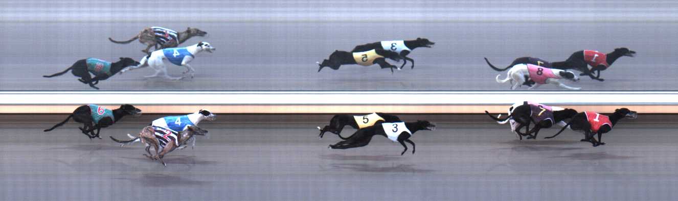 Photo finish for Warrnambool Race 7