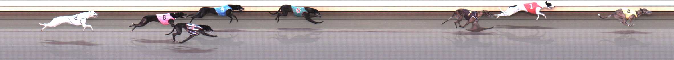 Photo finish for Warrnambool Race 9