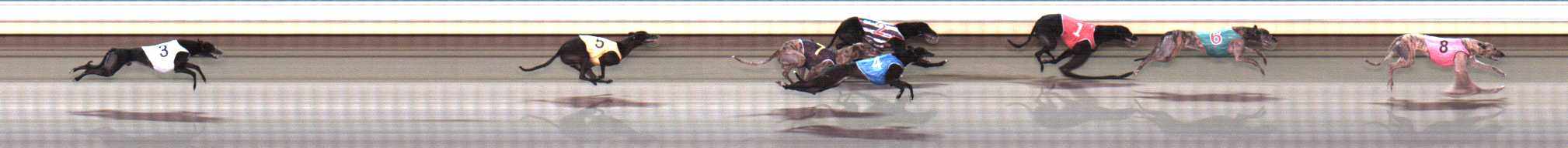 Photo finish for Warrnambool Race 10