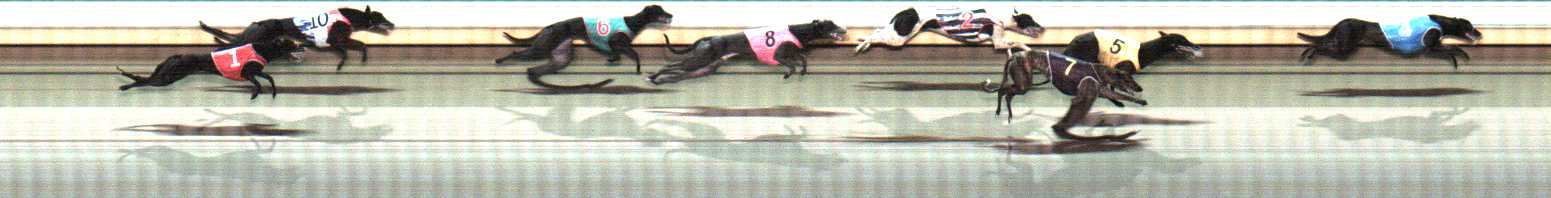 Photo finish for Warrnambool Race 12