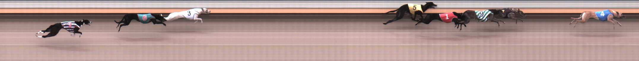 Photo finish for Warrnambool Race 1