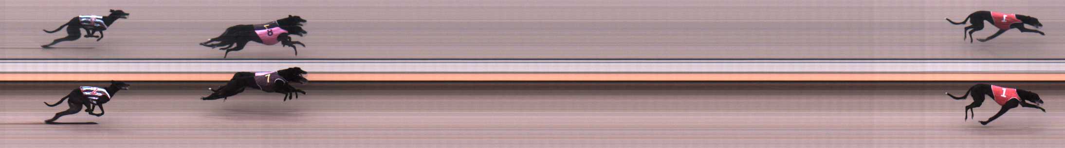 Photo finish for Warrnambool Race 2