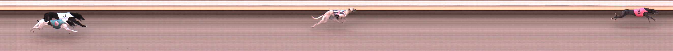 Photo finish for Warrnambool Race 4