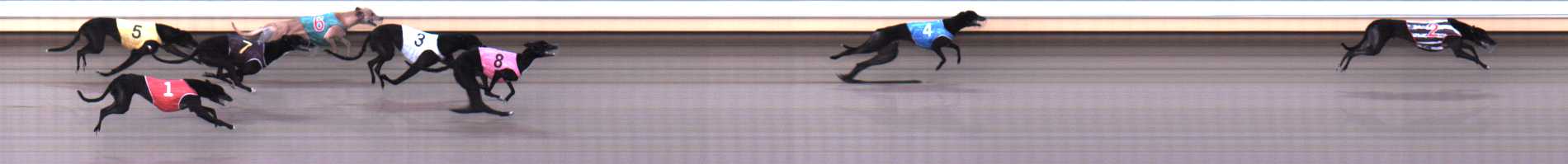 Photo finish for Warrnambool Race 6