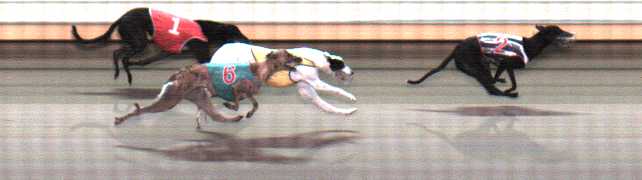 Photo finish for Warrnambool Race 7