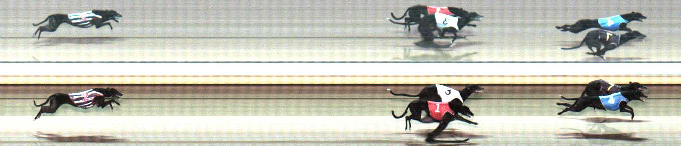 Photo finish for Warrnambool Race 9