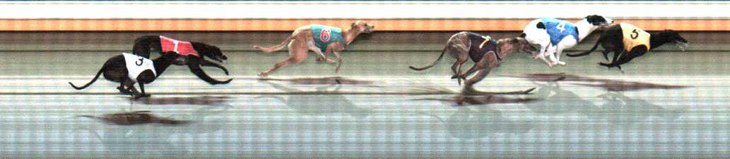 Photo finish for Warrnambool Race 10