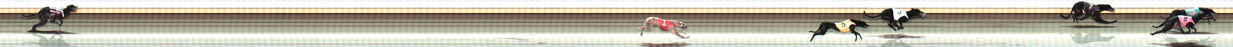 Photo finish for Warrnambool Race 11