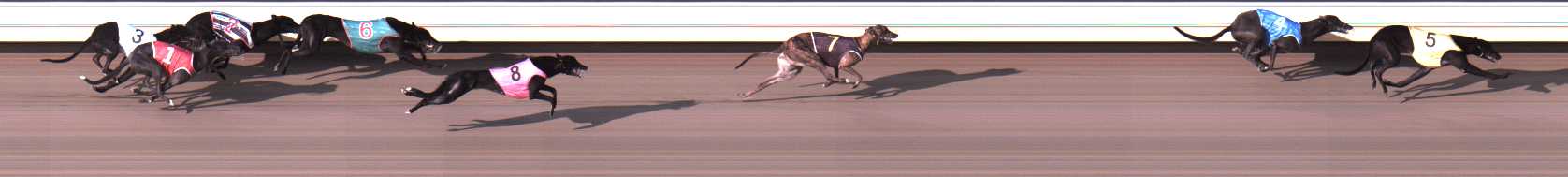 Photo finish for Warrnambool Race 1