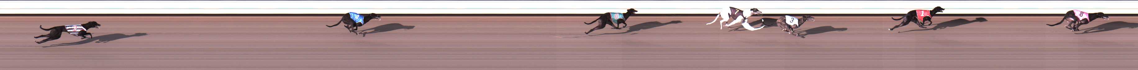 Photo finish for Warrnambool Race 2
