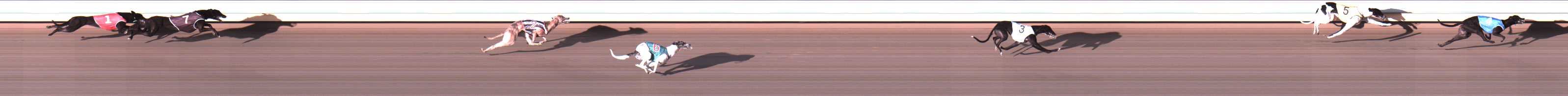 Photo finish for Warrnambool Race 3