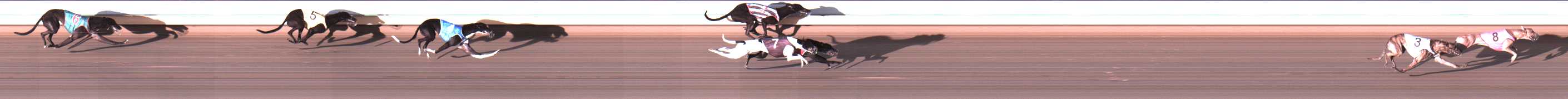 Photo finish for Warrnambool Race 4