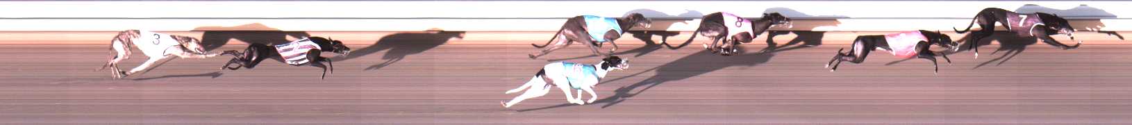 Photo finish for Warrnambool Race 5