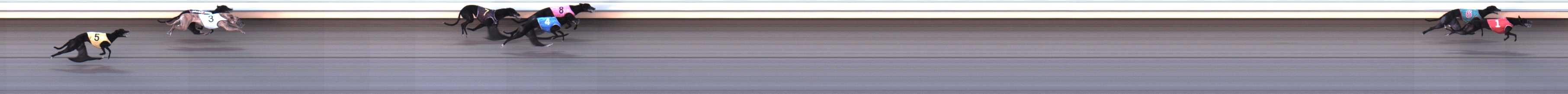 Photo finish for Warrnambool Race 6