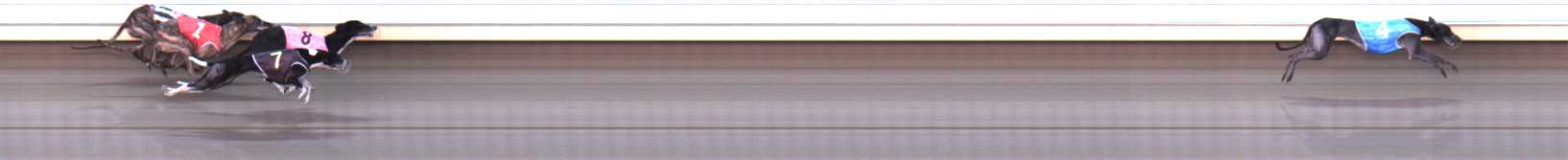 Photo finish for Warrnambool Race 7