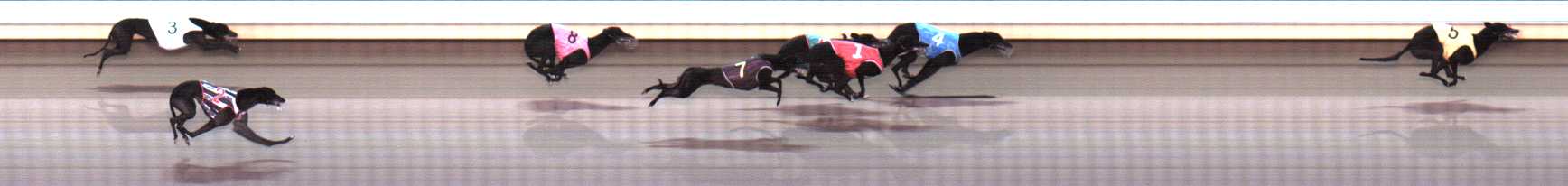 Photo finish for Warrnambool Race 9