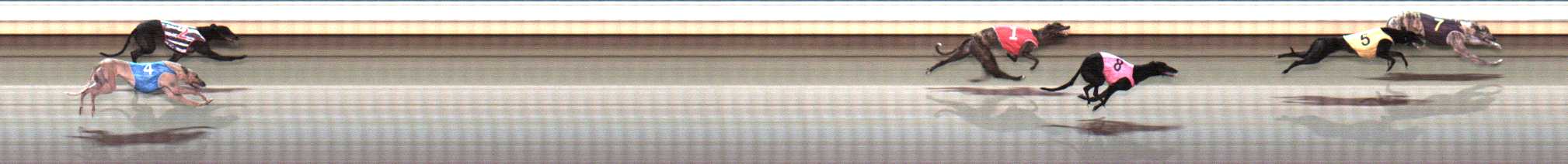 Photo finish for Warrnambool Race 10
