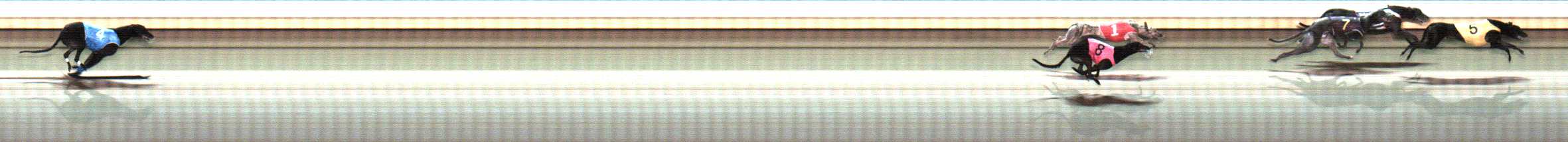 Photo finish for Warrnambool Race 12