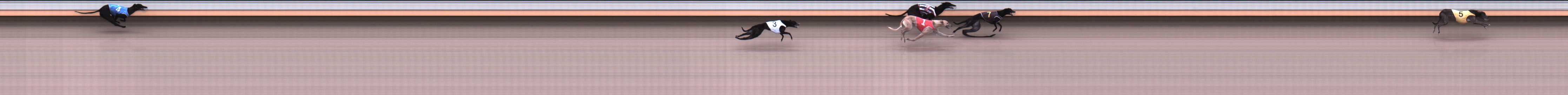 Photo finish for Warrnambool Race 1