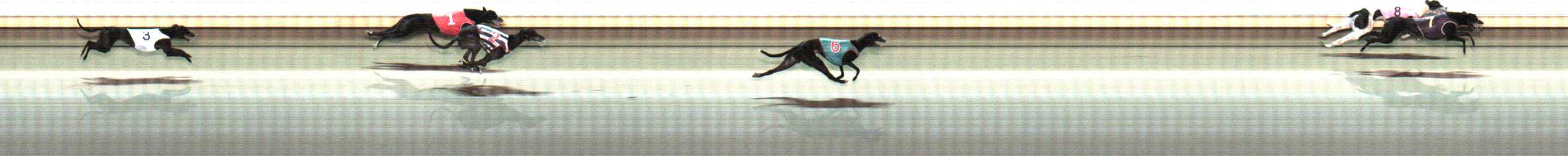 Photo finish for Warrnambool Race 11