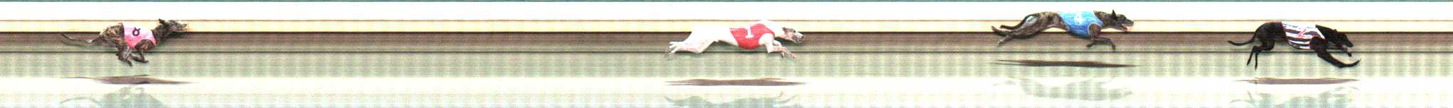Photo finish for Warrnambool Race 12