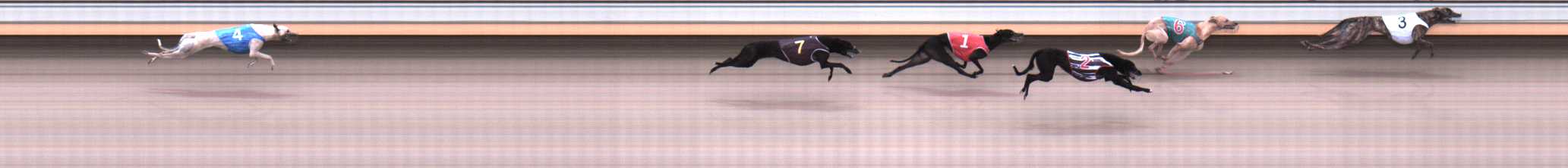 Photo finish for Warrnambool Race 2
