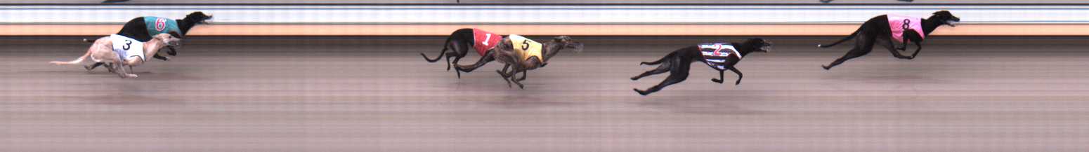 Photo finish for Warrnambool Race 3