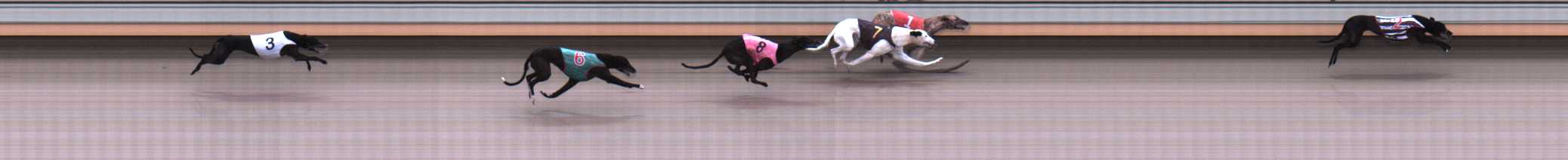 Photo finish for Warrnambool Race 4