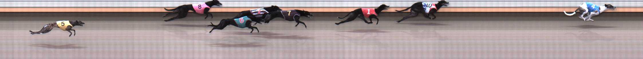 Photo finish for Warrnambool Race 5