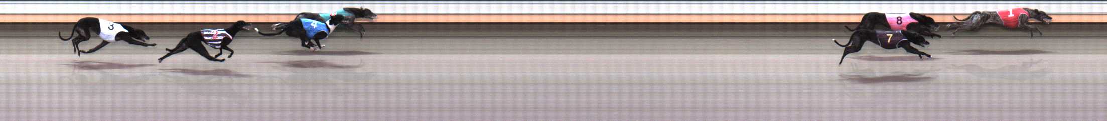 Photo finish for Warrnambool Race 6