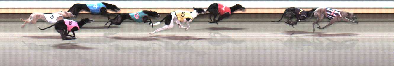 Photo finish for Warrnambool Race 7