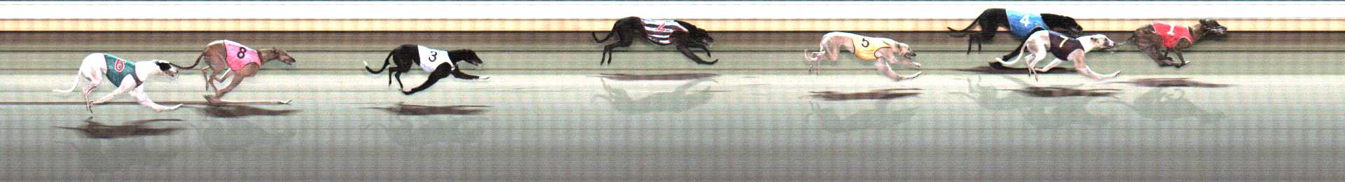 Photo finish for Warrnambool Race 9
