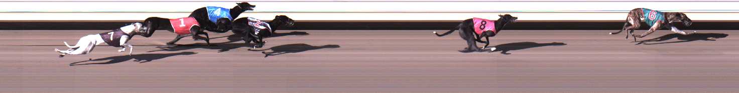 Photo finish for Warrnambool Race 1