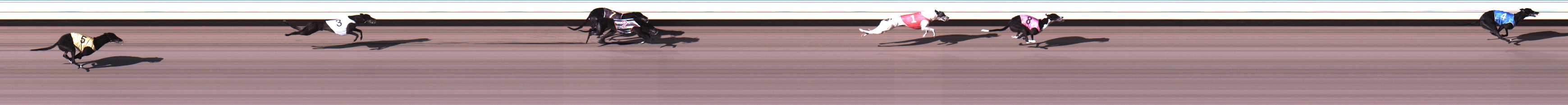 Photo finish for Warrnambool Race 2