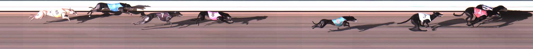 Photo finish for Warrnambool Race 4