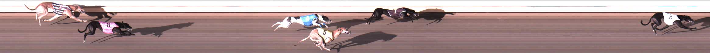 Photo finish for Warrnambool Race 5